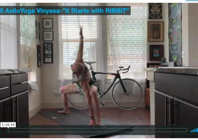 Vinyasa – It Begins with RIBBIT