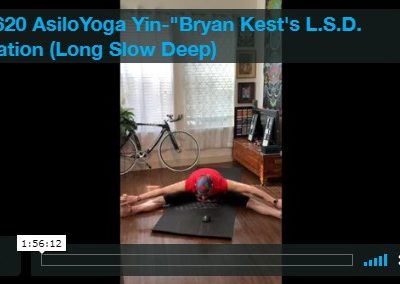 Bryan Kest’s L.S.D Variation (Long Slow Deep)