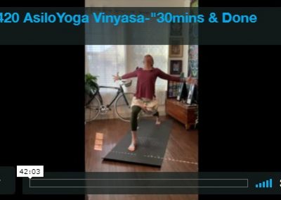 Vinyasa – 30 Minutes and Done #1