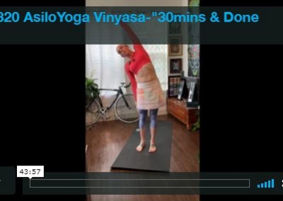 Vinyasa – 30 Minutes and Done #2