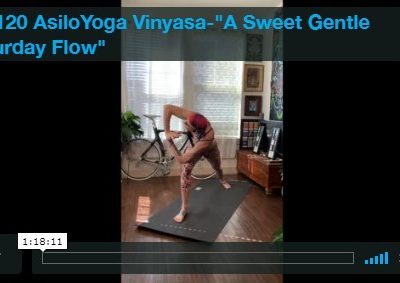 Vinyasa – A Sweet Gentle Saturday Flow