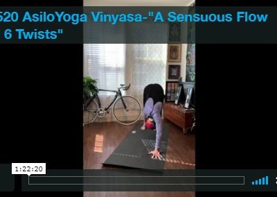 Vinyasa – A Sensuous Flow with 6 Twists