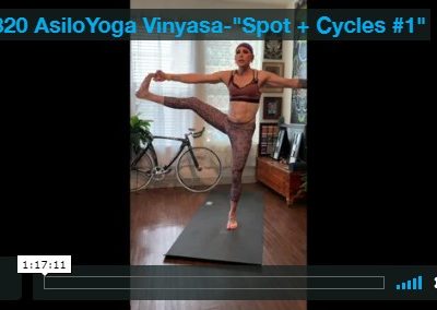 Vinyasa – Spot + Cycles #1