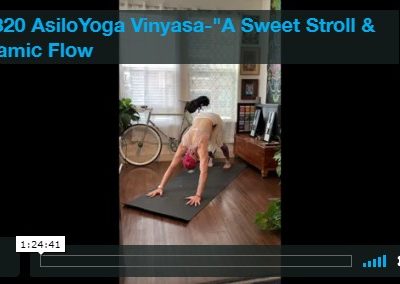 Vinyasa – A Sweet Stroll & Dynamic Flow