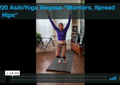Vinyasa – Warriors, Spread Leg, Hips