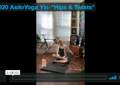 Yin – Hips & Twists