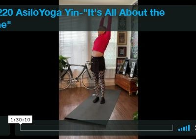 Yin – It’s All About the Spine