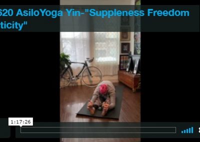 Yin – Suppleness, Freedom, Elasticity