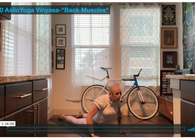 Vinyasa – Back Muscles