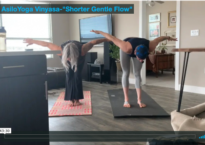 Vinyasa – Shorter Gentle Flow