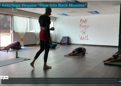 Vinyasa – Flow Into Back Muscles