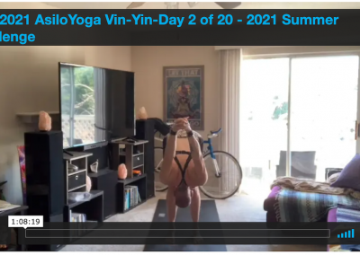 Vin-Yin – Day 2 of 20 – 2021 Summer Challenge 06.02.2021