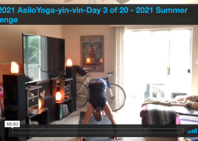 Yin-Vin – Day 3 of 20 – 2021 Summer Challenge 06.03.2021