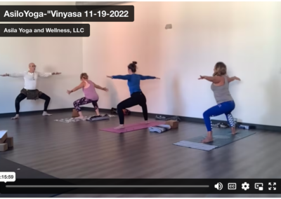 Vinyasa – “Vinyasa 11-19-22”