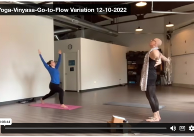 Vinyasa – “Go-To-Flow Variation 12-10-22”