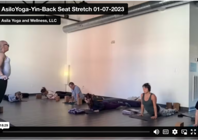 Yin – “Back Seat Stretch 01/07/22”